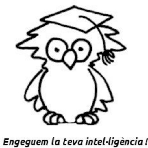 Foto anuncio