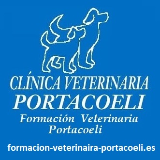 Foto de Formación Veterinaria Portacoeli (Clínica Veterinaria Portacoeli)